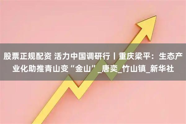 股票正规配资 活力中国调研行丨重庆梁平：生态产业化助推青山变“金山”_唐奕_竹山镇_新华社