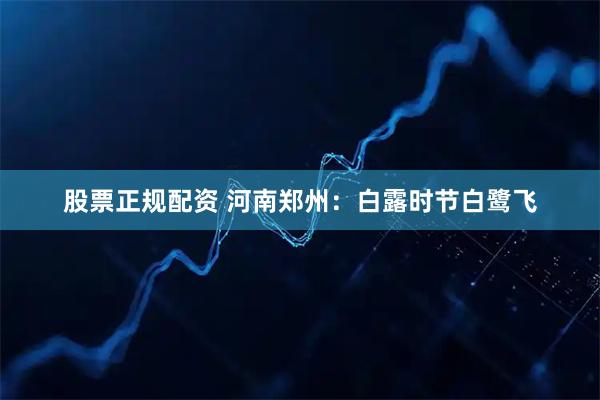 股票正规配资 河南郑州：白露时节白鹭飞